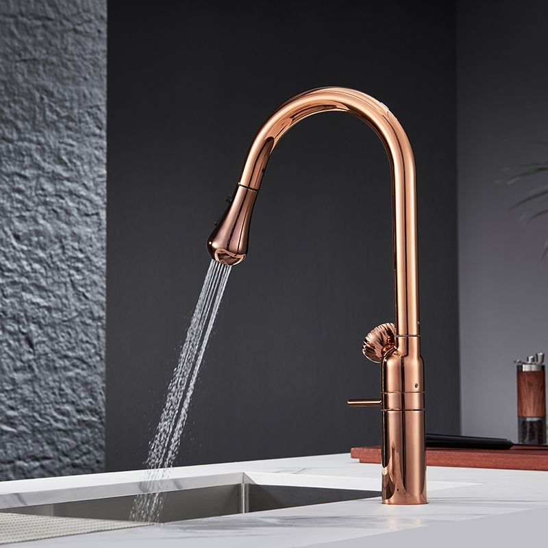 Syltara | Professional Arched Retractable Spout Kitchen Mixer Tap with Temperature Display