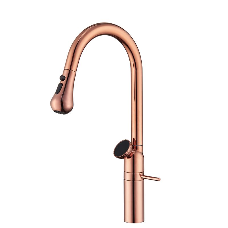 Syltara | Professional Arched Retractable Spout Kitchen Mixer Tap with Temperature Display