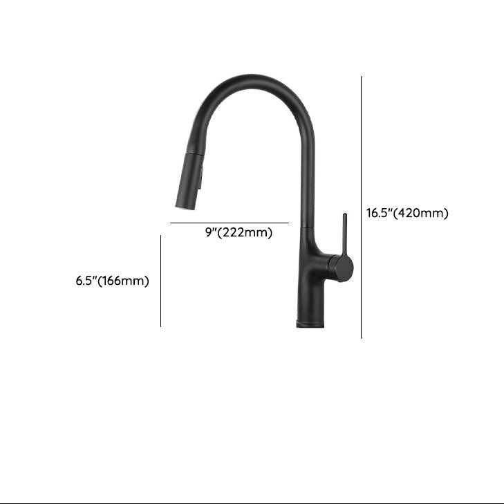 Eldurall | Modern Gooseneck Silhouette Swivel Spout Kitchen Tap