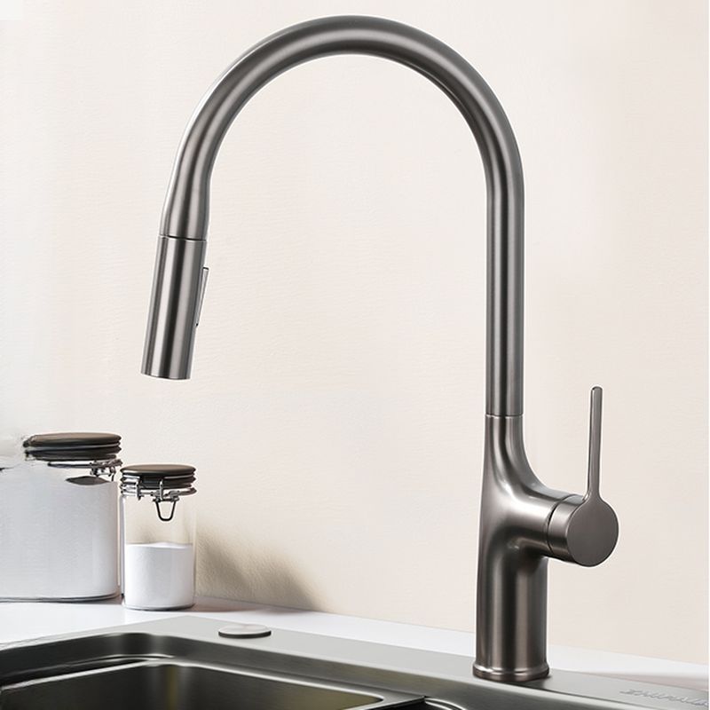 Eldurall | Modern Gooseneck Silhouette Swivel Spout Kitchen Tap