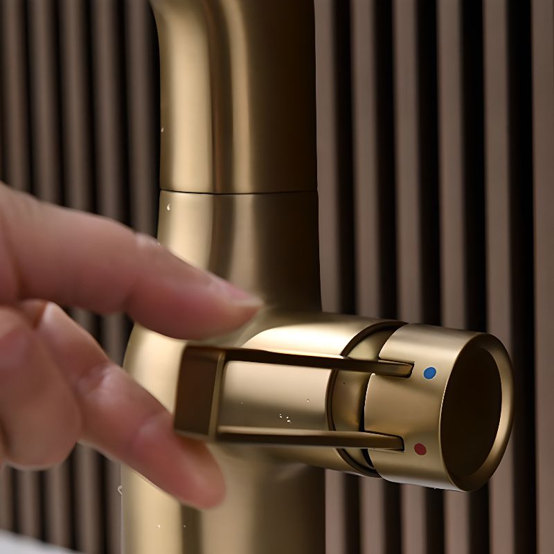 Mysivalla | Modern Curved Column Bathroom Sink Tap with Retractable Spout