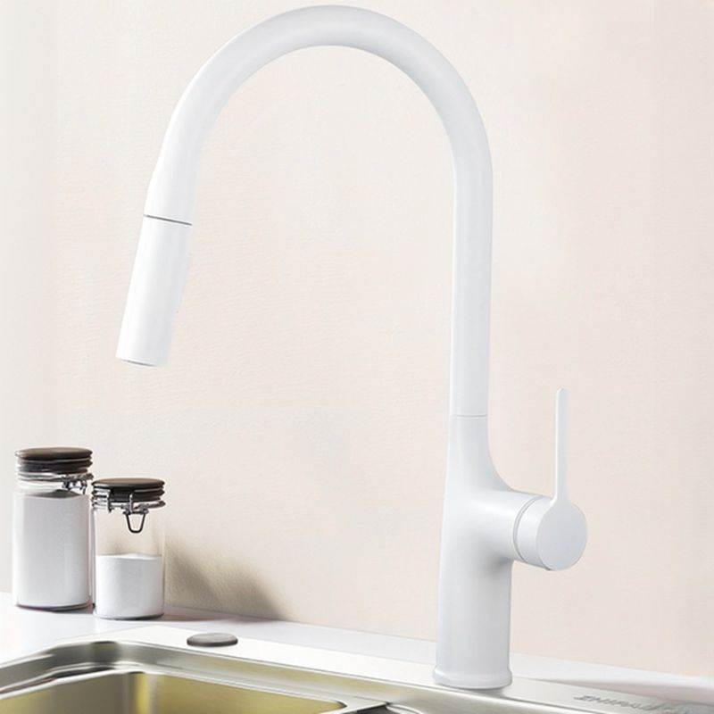 Eldurall | Modern Gooseneck Silhouette Swivel Spout Kitchen Tap