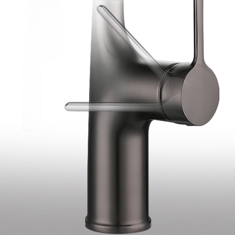Eldurall | Modern Gooseneck Silhouette Swivel Spout Kitchen Tap