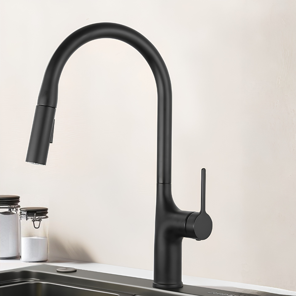 Eldurall | Modern Gooseneck Silhouette Swivel Spout Kitchen Tap