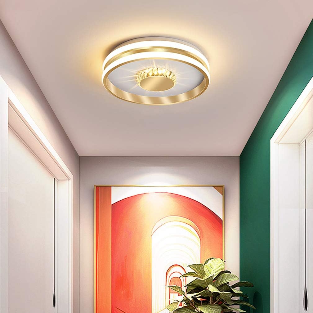 Circa | Modern Minimalist Double Ring Ceiling Light
