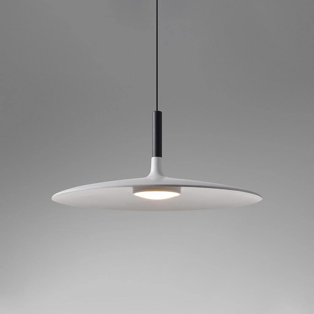 Thaloric | Minimalist Industrial Aluminum Flat Disc Pendant Light