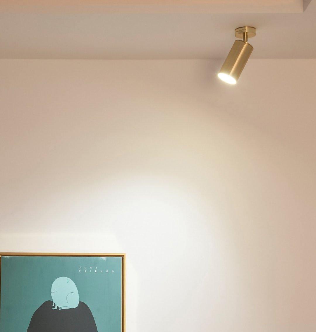 Lysenna | Luxury Linear Silhouette Adjustable Spotlight Wall Light