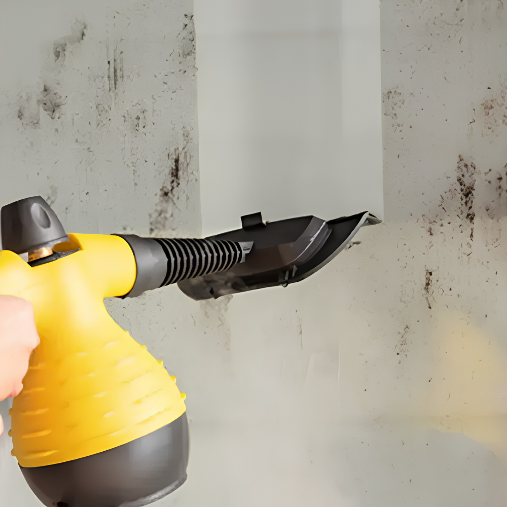 Kestruva | Professional Grade Ergonomic Multipurpose Handheld Steam Cleaner