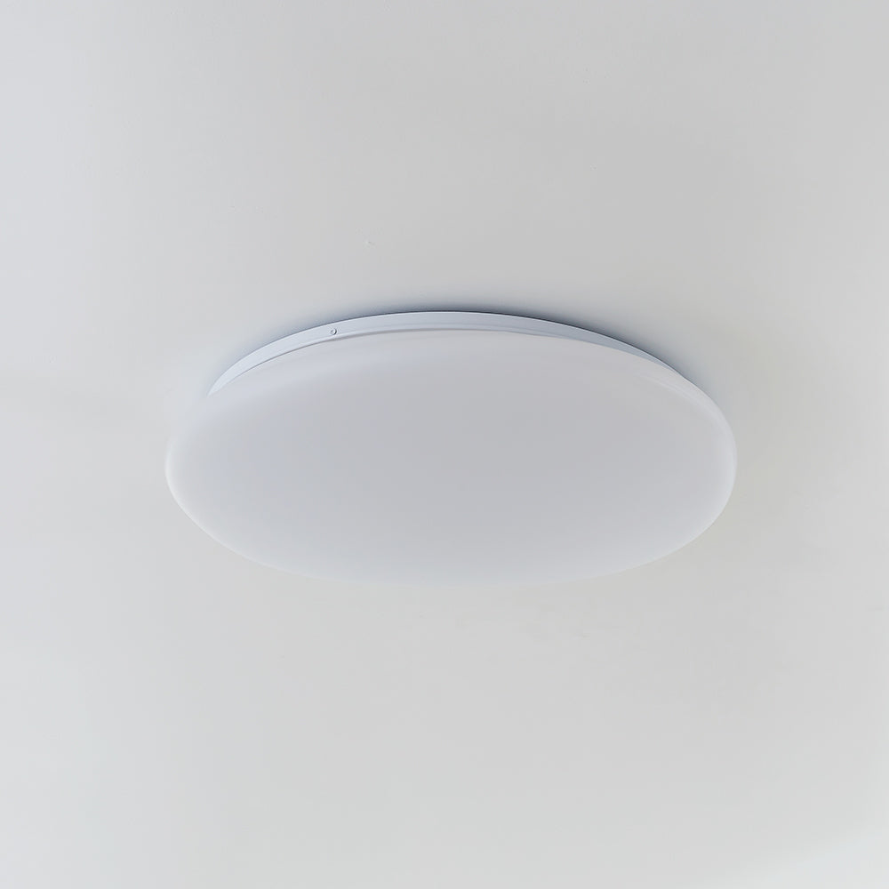 Aehelis | Modern Minimalist Irregular Pebble Silhouette LED Ceiling Light