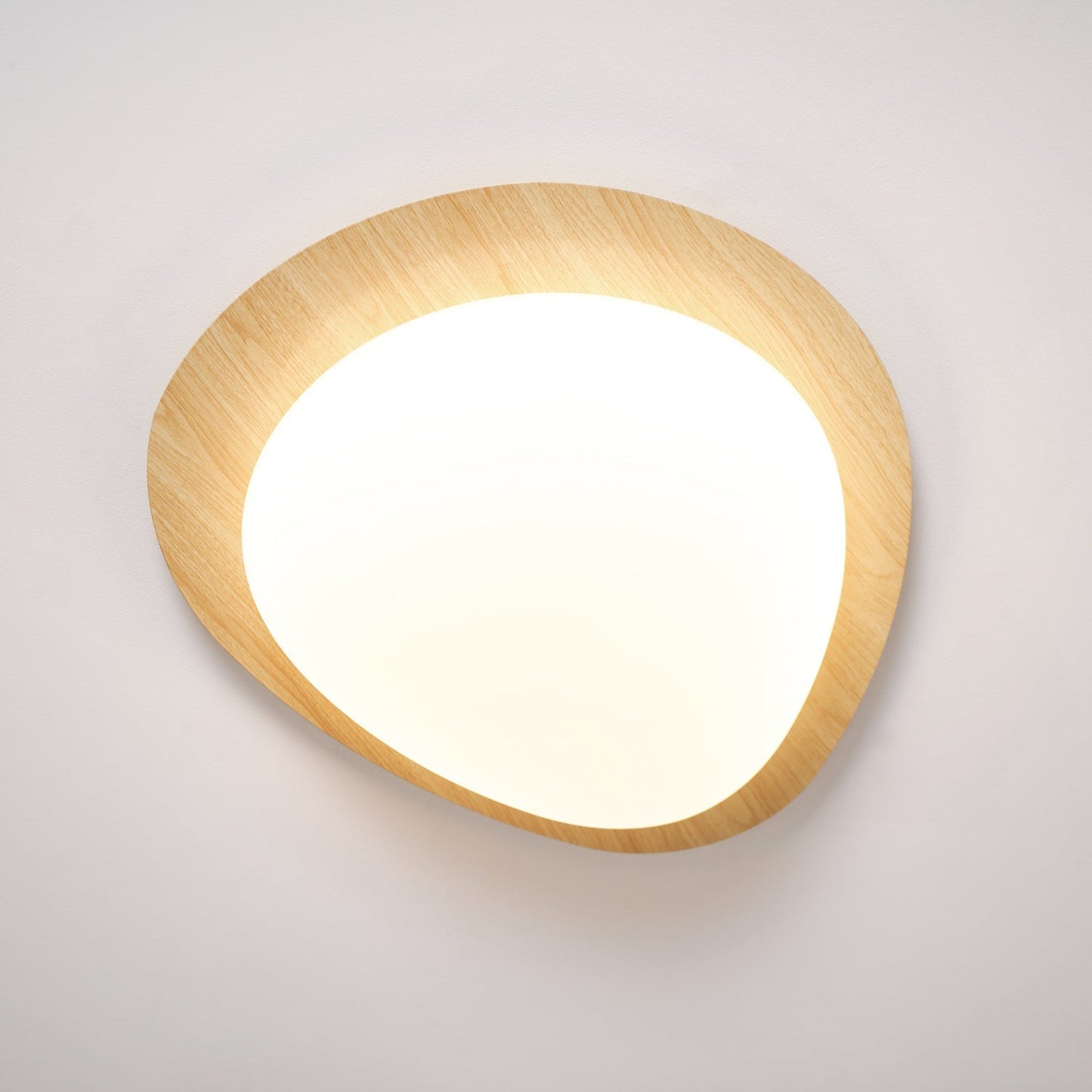 Elenorris | Sculptural Pebble Silhouette Flush Mount Ceiling Light