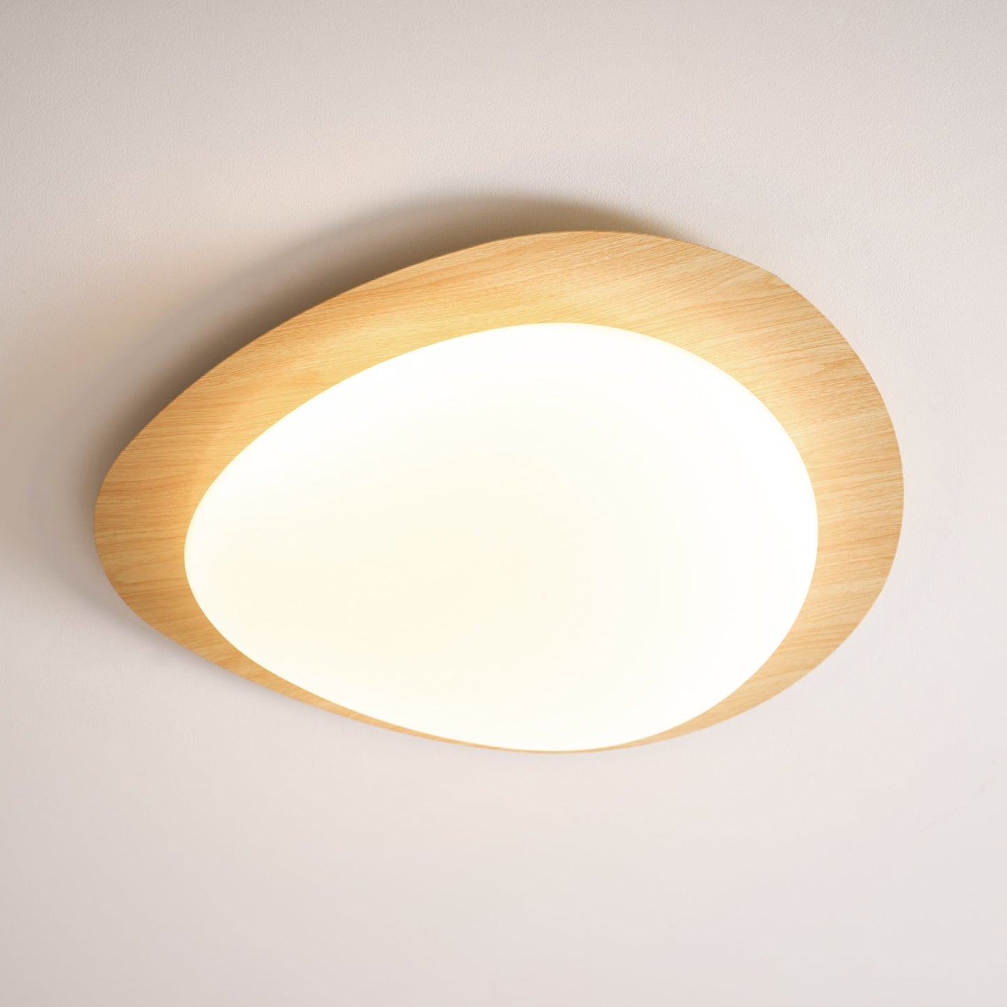 Elenorris | Sculptural Pebble Silhouette Flush Mount Ceiling Light