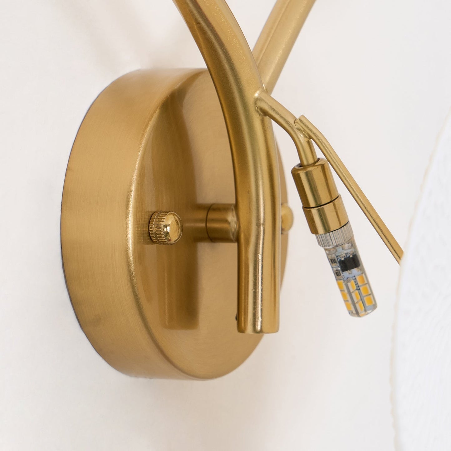 Lerius | Sculptural Ceramic Lotus Petal Artistic Wall Light