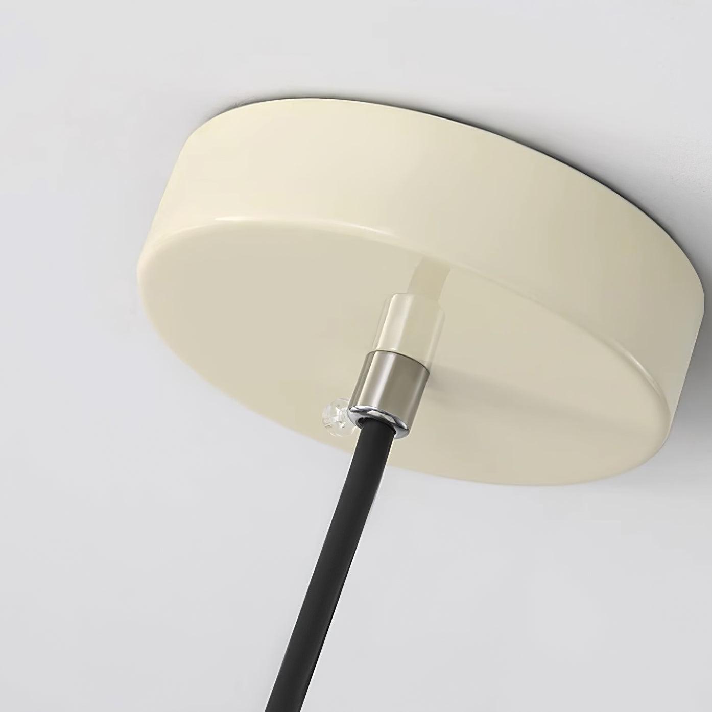 Berislys | Sculpted Organic Floral Silhouette Glass Pendant Light