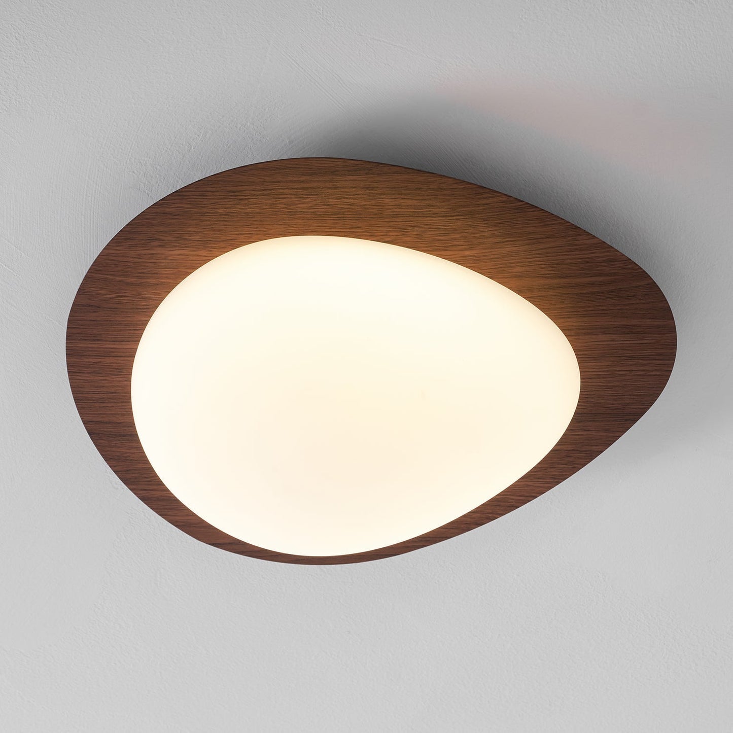 Elenorris | Sculptural Pebble Silhouette Flush Mount Ceiling Light