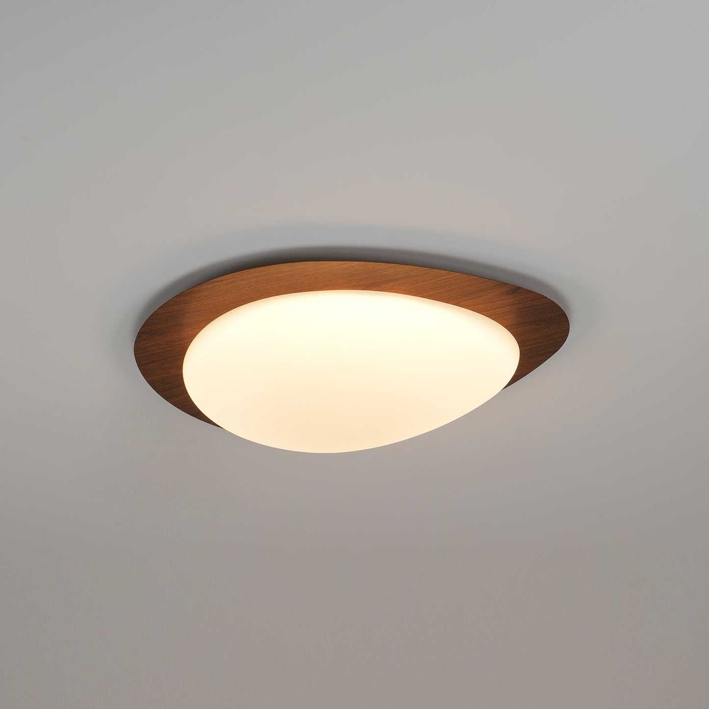 Elenorris | Sculptural Pebble Silhouette Flush Mount Ceiling Light