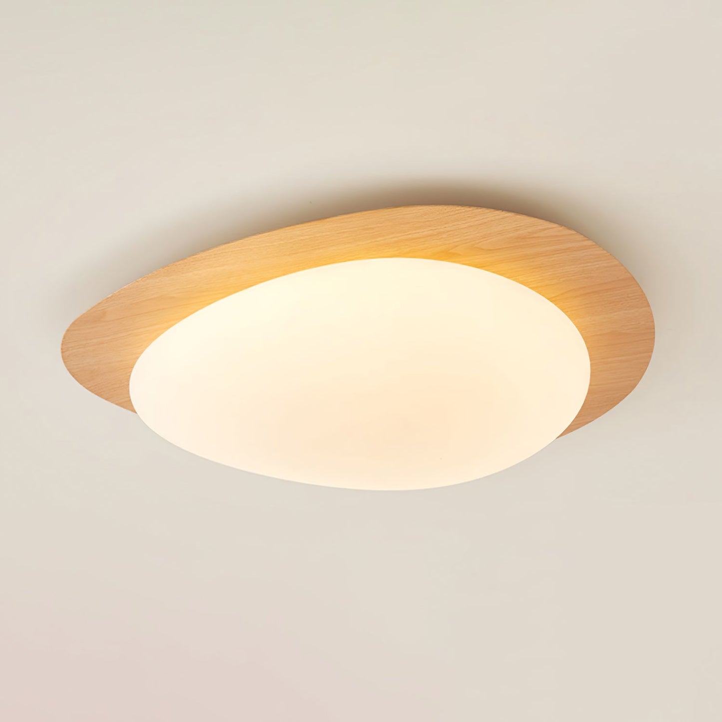 Elenorris | Sculptural Pebble Silhouette Flush Mount Ceiling Light