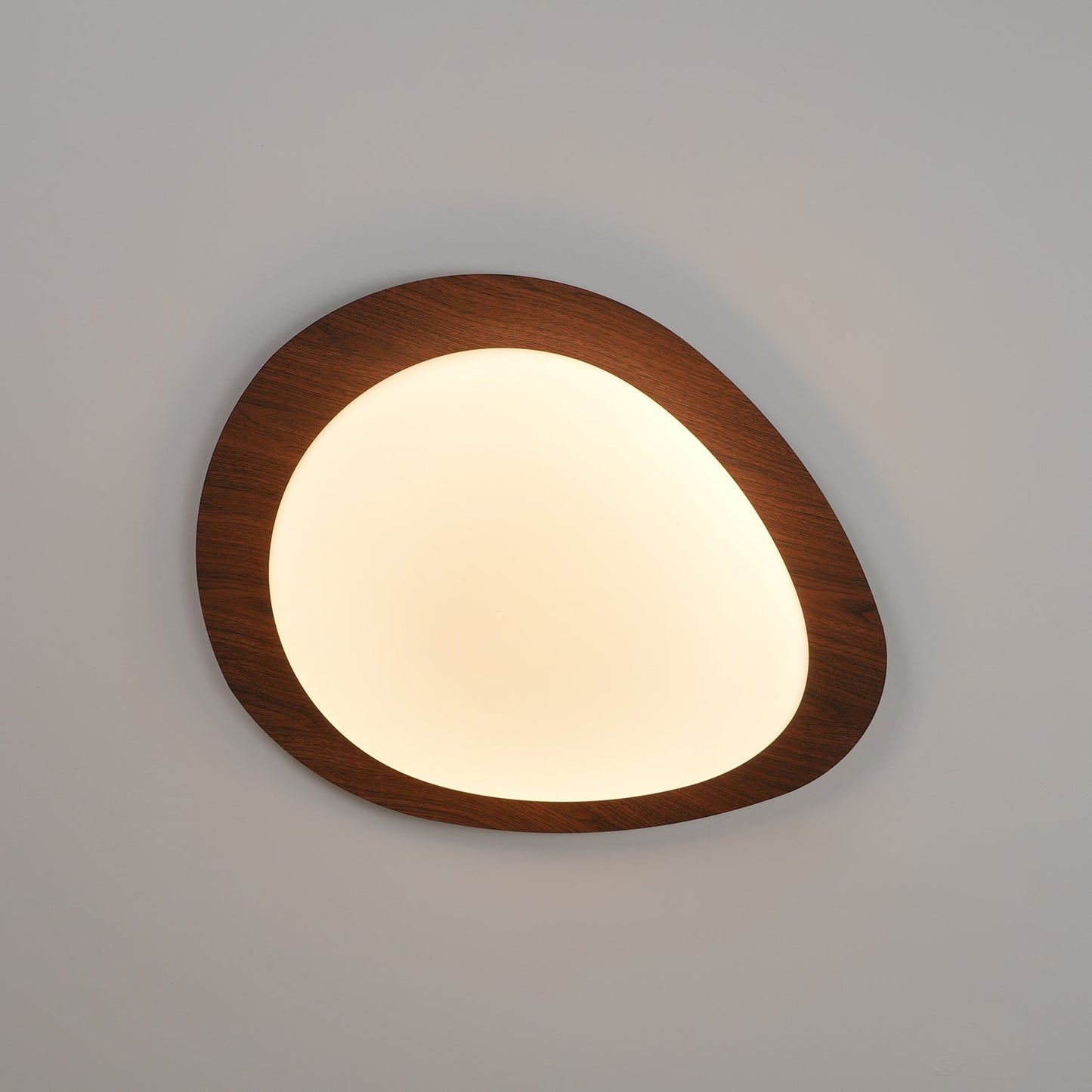 Elenorris | Sculptural Pebble Silhouette Flush Mount Ceiling Light