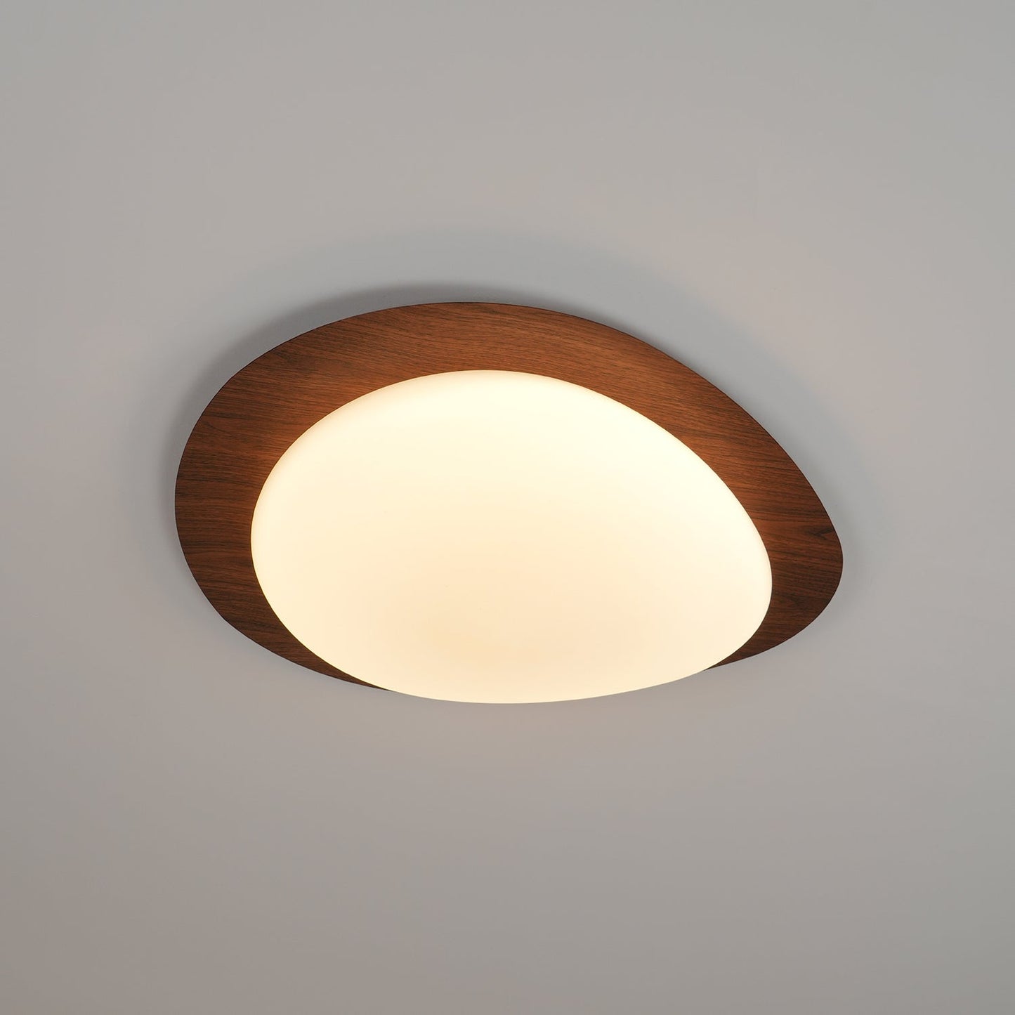 Elenorris | Sculptural Pebble Silhouette Flush Mount Ceiling Light