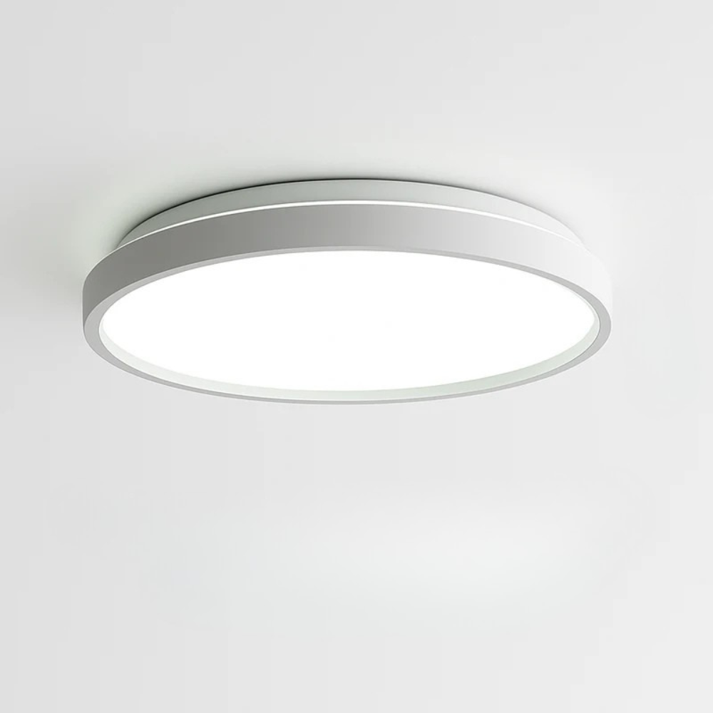 Zyldor | Slim Circular Modern Metal Flush Mount Ceiling Light