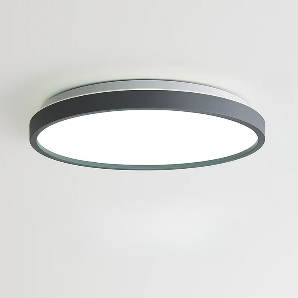 Zyldor | Slim Circular Modern Metal Flush Mount Ceiling Light