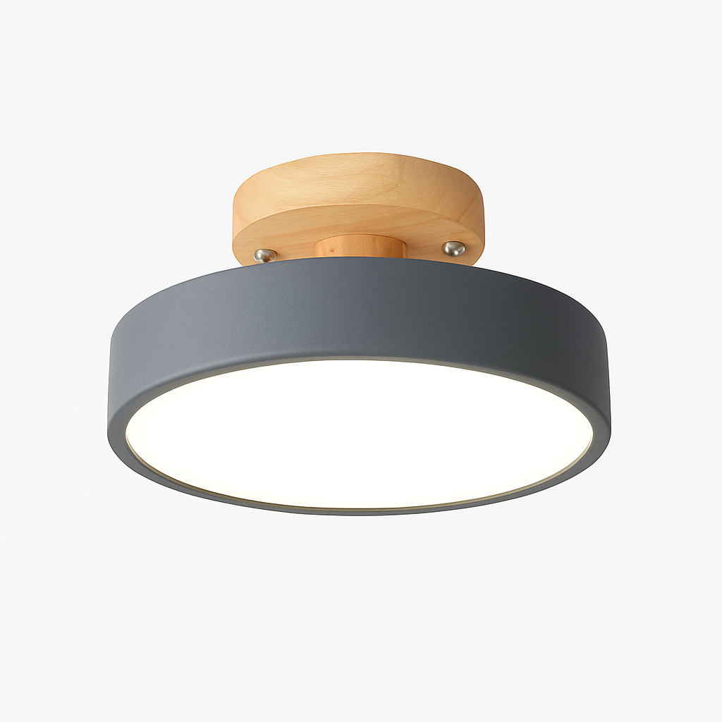 Kaelitho | Modern Geometric Painted Metal Disc Ceiling Light