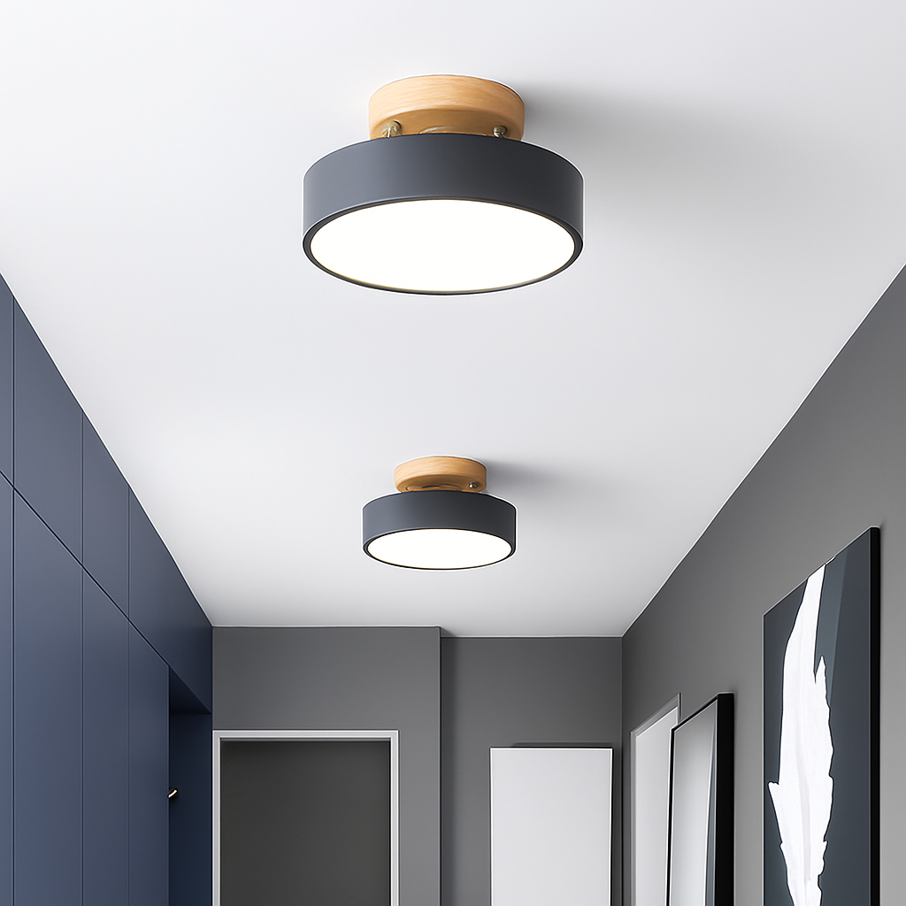 Kaelitho | Modern Geometric Painted Metal Disc Ceiling Light