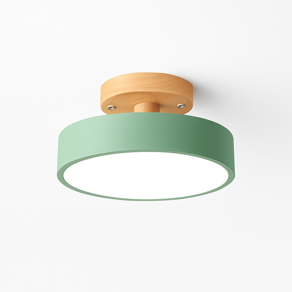 Kaelitho | Modern Geometric Painted Metal Disc Ceiling Light