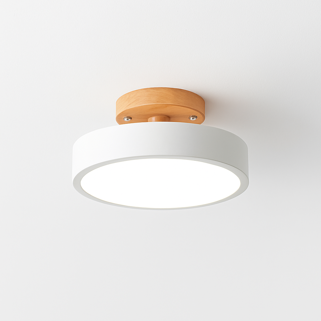 Kaelitho | Modern Geometric Painted Metal Disc Ceiling Light