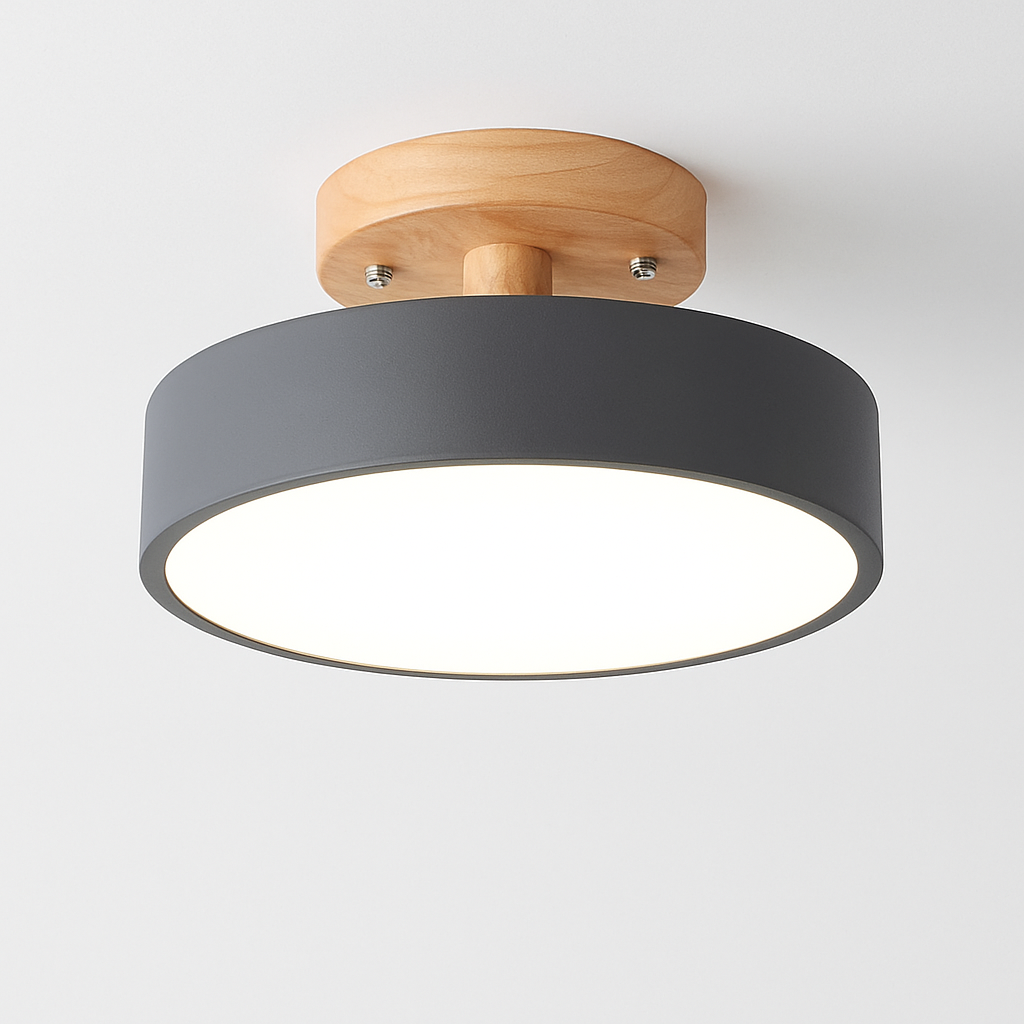 Kaelitho | Modern Geometric Painted Metal Disc Ceiling Light