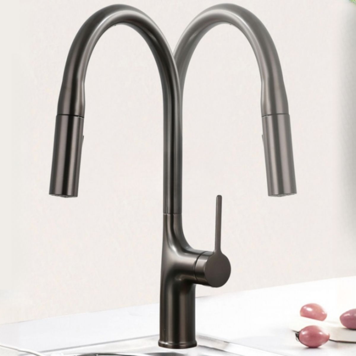 Eldurall | Modern Gooseneck Silhouette Swivel Spout Kitchen Tap