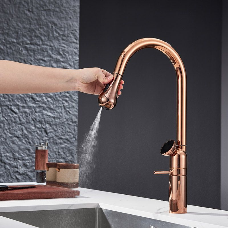 Syltara | Professional Arched Retractable Spout Kitchen Mixer Tap with Temperature Display