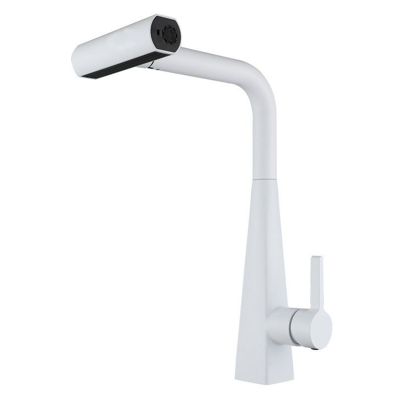 Luxvarka | Modern Pull Out Rotatable Sprayer Kitchen Sink Mixer Tap