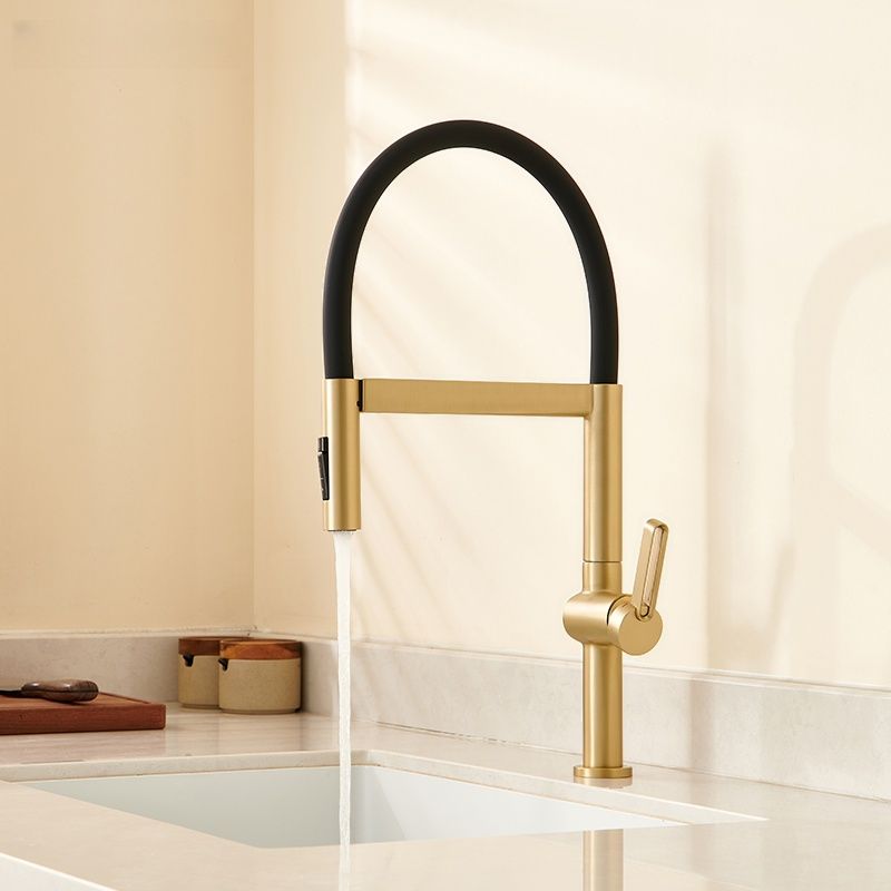 Halvorna | Professional Arched Profile Retractable Spout Kitchen Sink Mixer Tap