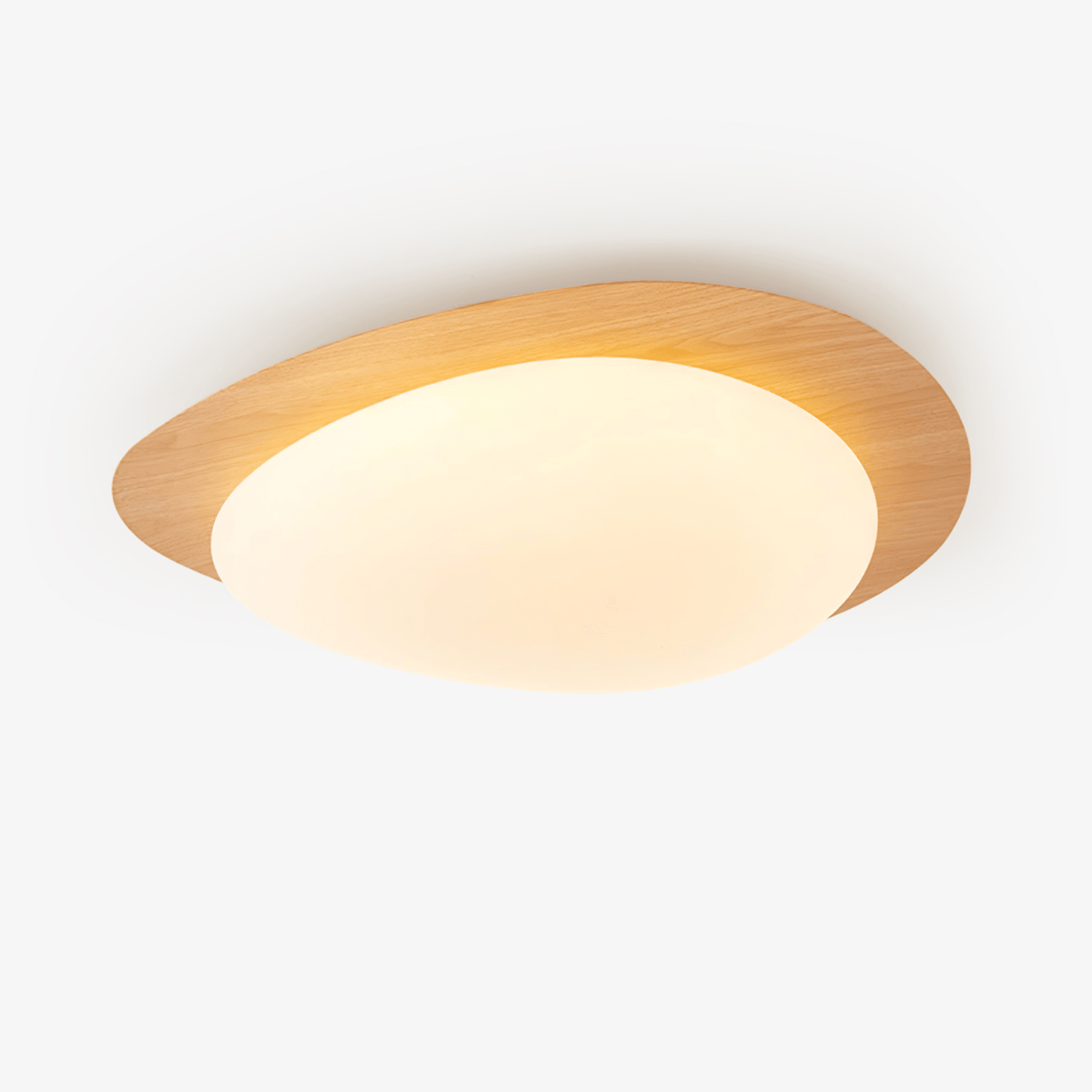 Elenorris | Sculptural Pebble Silhouette Flush Mount Ceiling Light