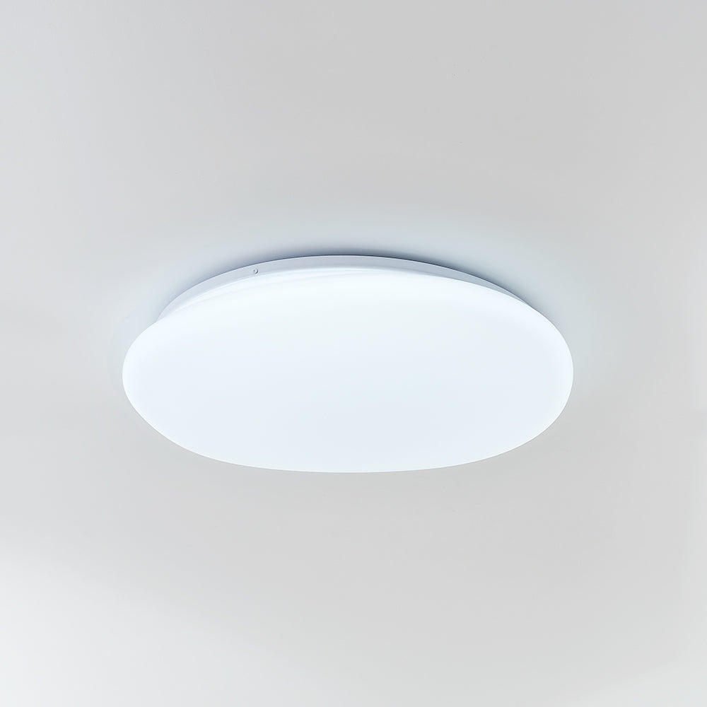 Aehelis | Modern Minimalist Irregular Pebble Silhouette LED Ceiling Light