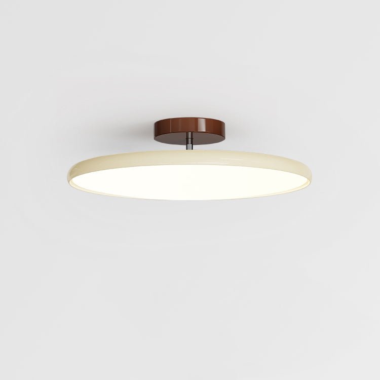 Brondela | Rotating Arc Minimalist Directional Overhead Ceiling Light