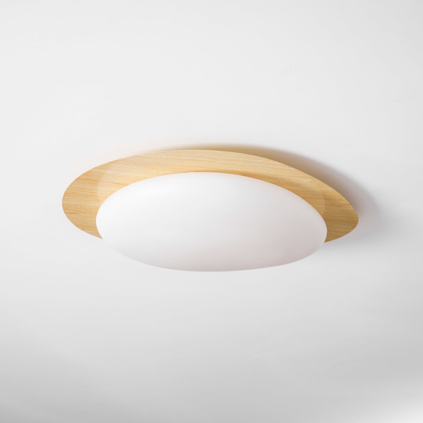 Elenorris | Sculptural Pebble Silhouette Flush Mount Ceiling Light