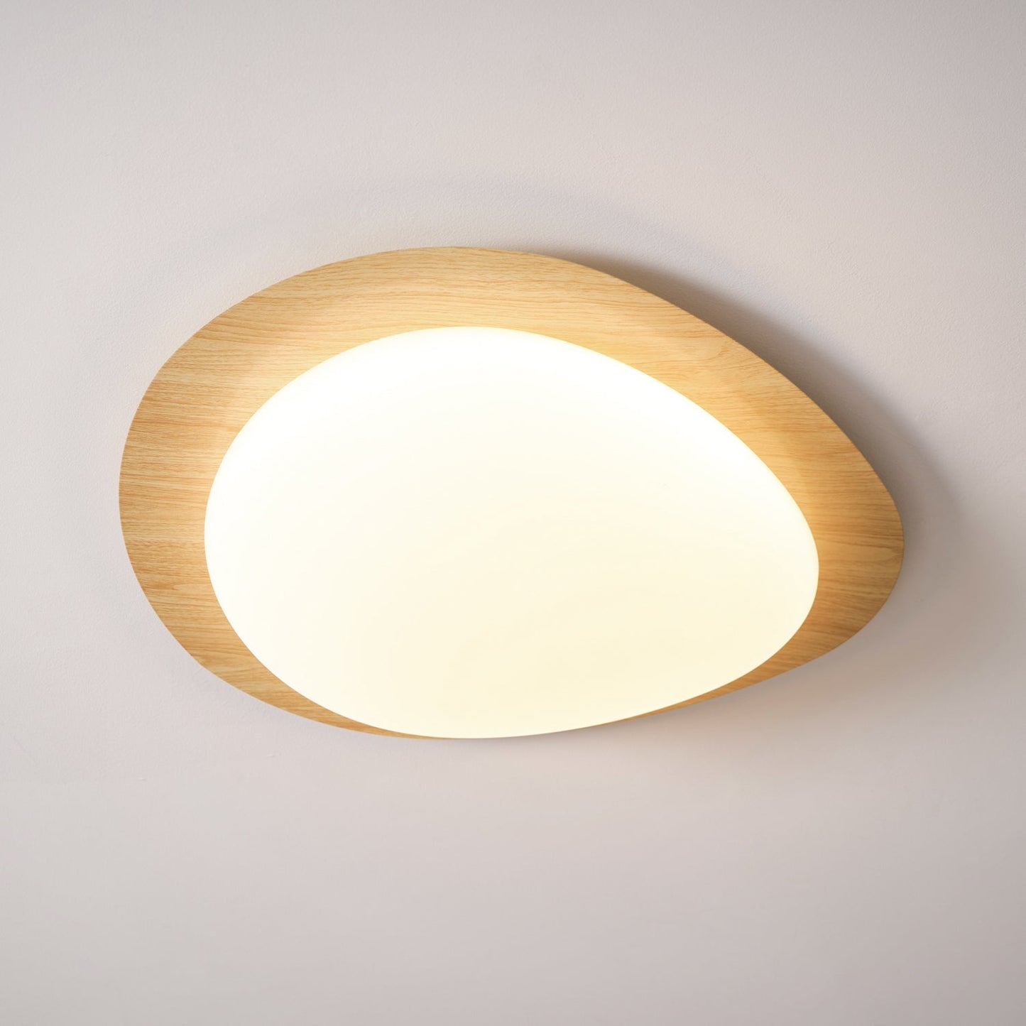 Elenorris | Sculptural Pebble Silhouette Flush Mount Ceiling Light