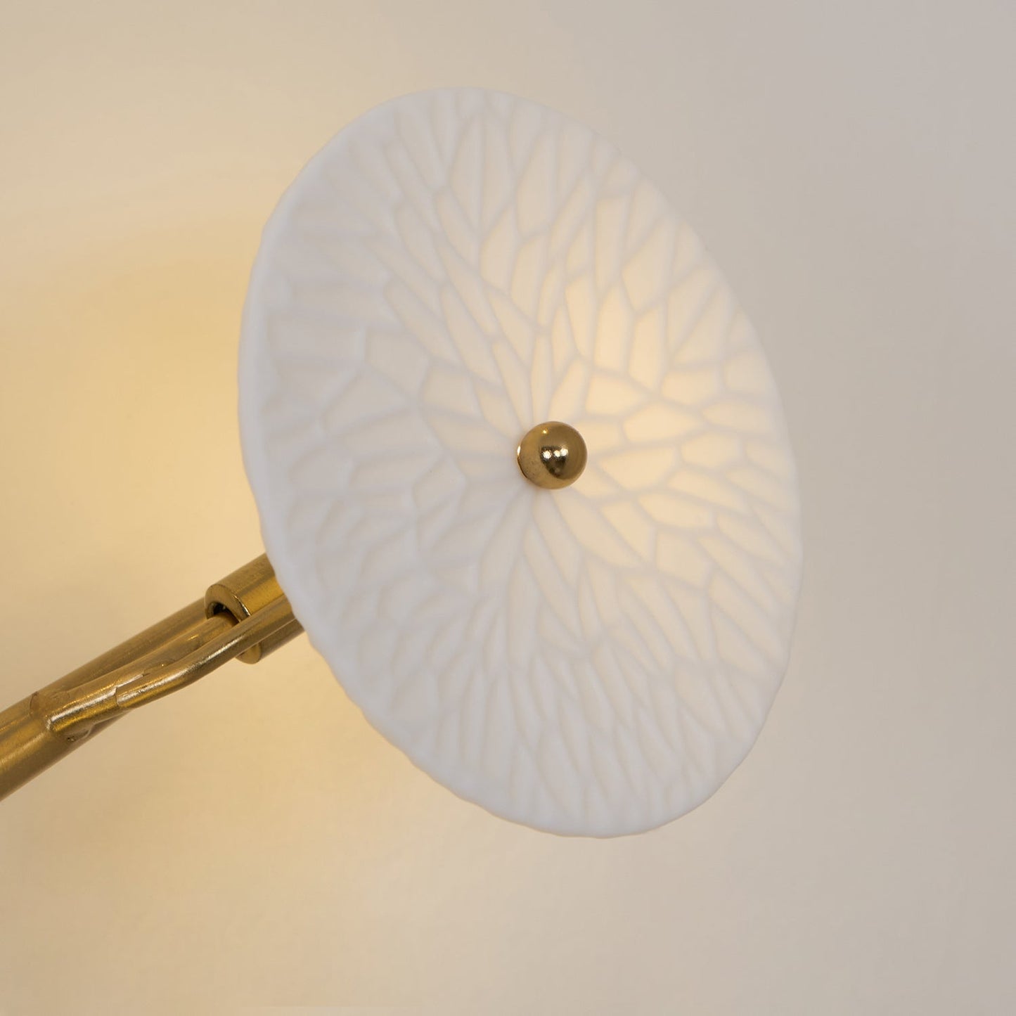 Lerius | Sculptural Ceramic Lotus Petal Artistic Wall Light