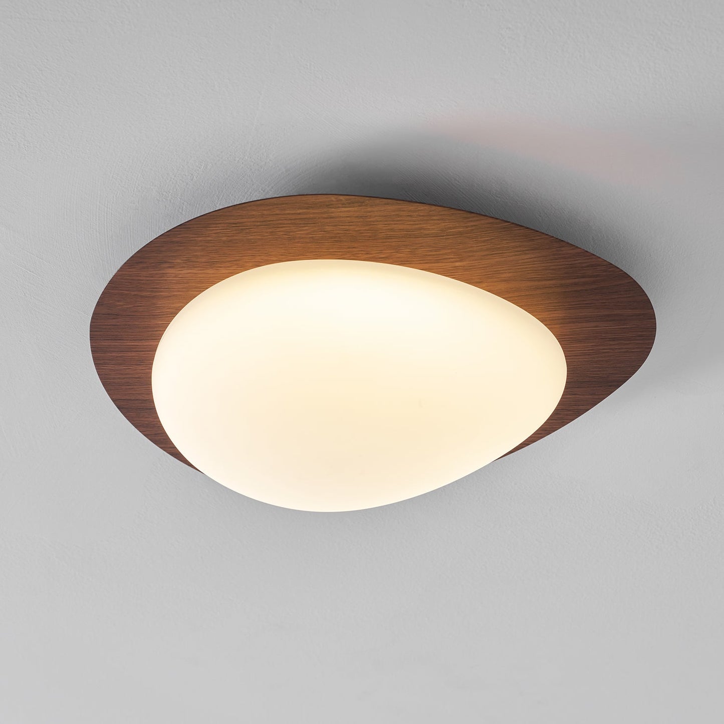 Elenorris | Sculptural Pebble Silhouette Flush Mount Ceiling Light