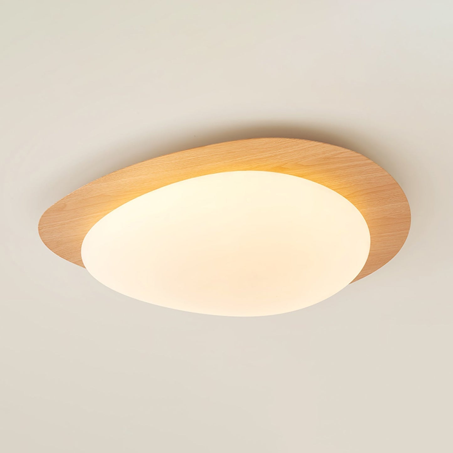 Elenorris | Sculptural Pebble Silhouette Flush Mount Ceiling Light