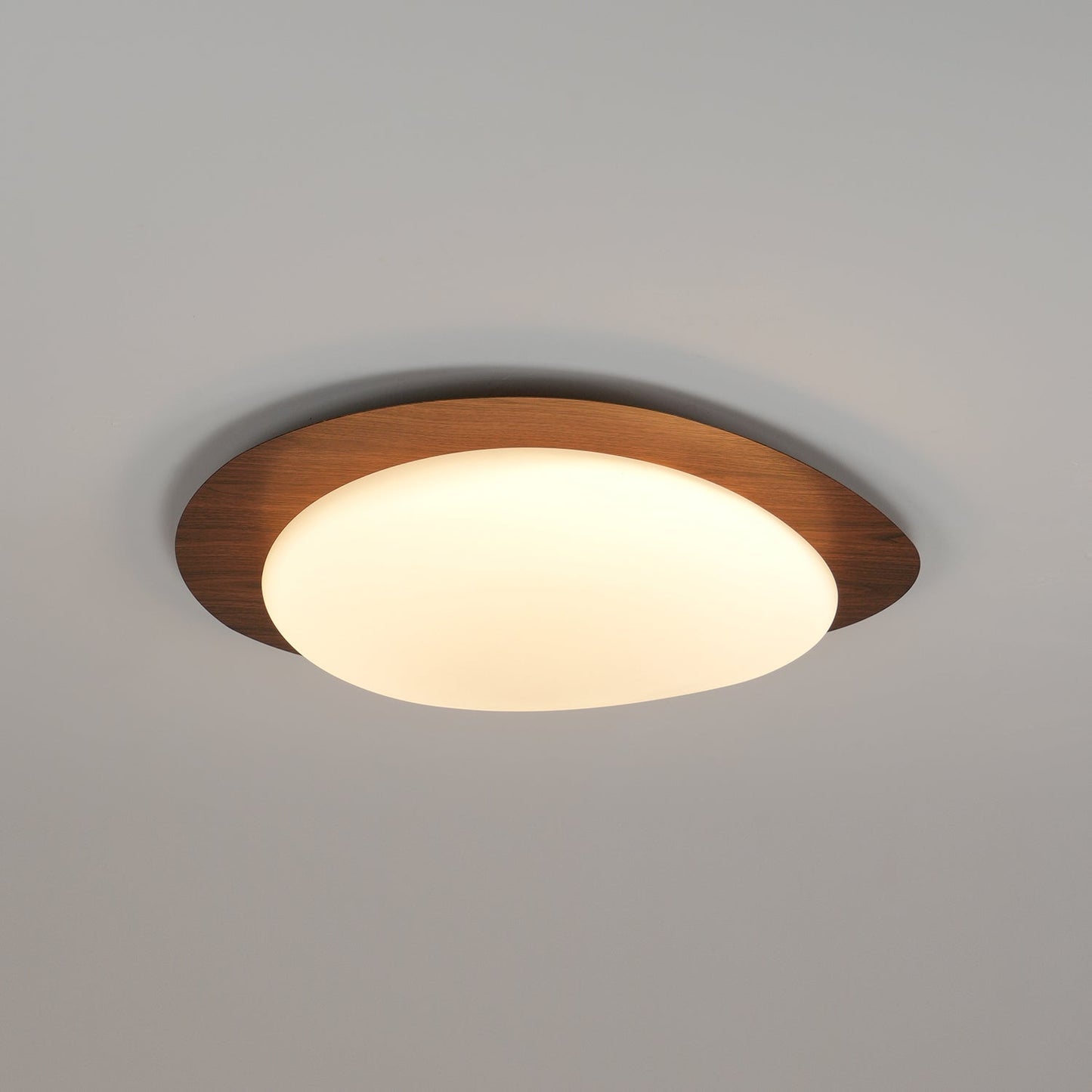 Elenorris | Sculptural Pebble Silhouette Flush Mount Ceiling Light