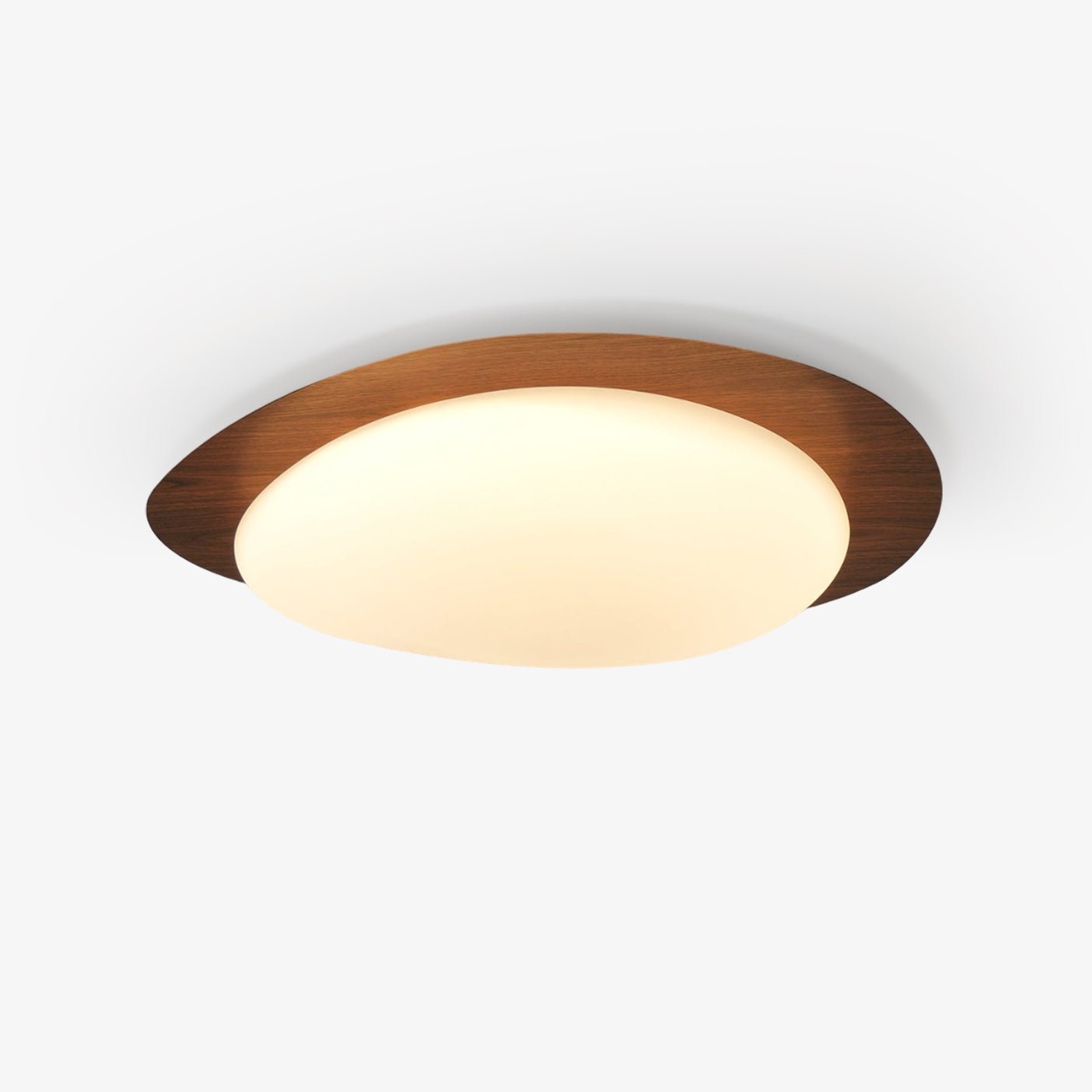 Elenorris | Sculptural Pebble Silhouette Flush Mount Ceiling Light