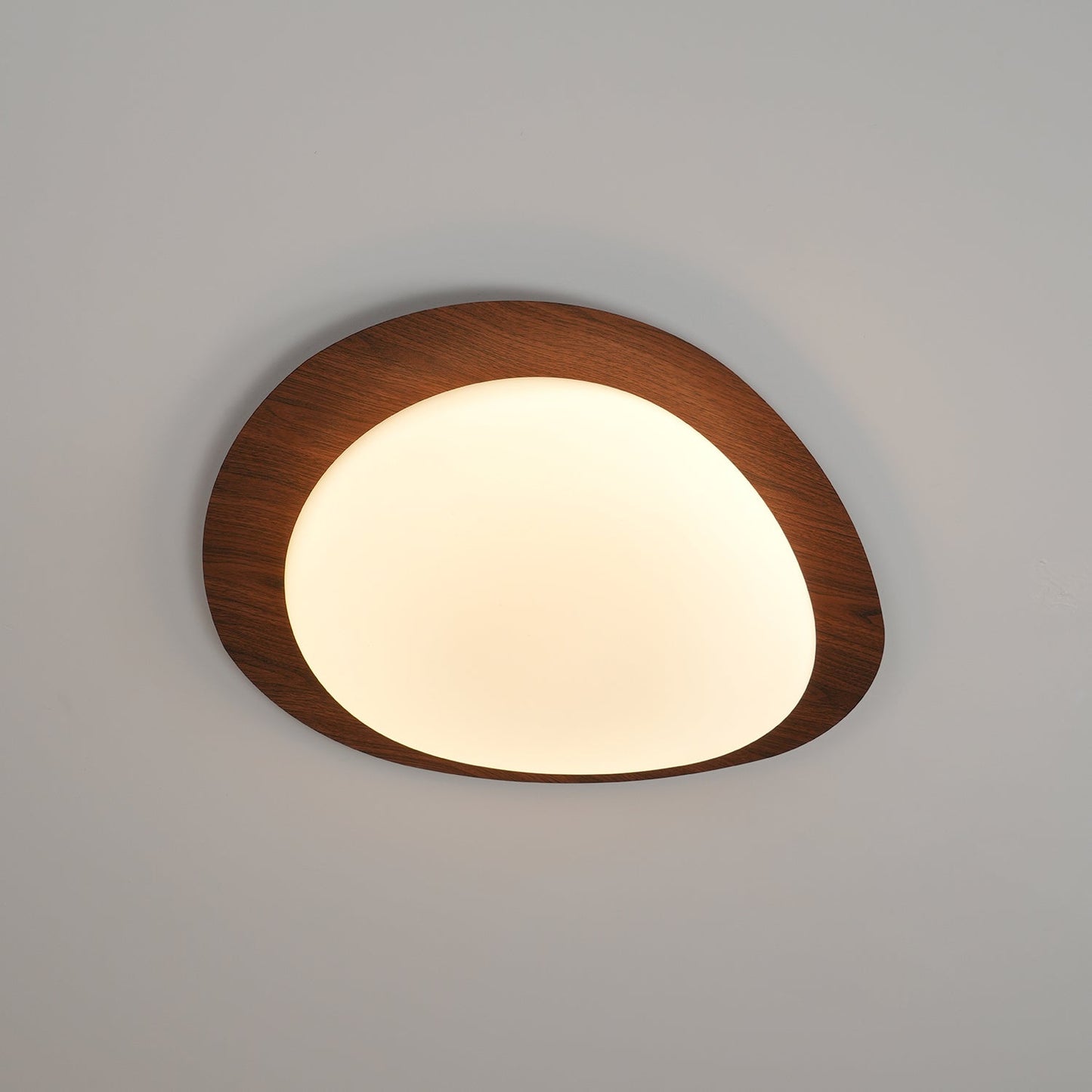 Elenorris | Sculptural Pebble Silhouette Flush Mount Ceiling Light