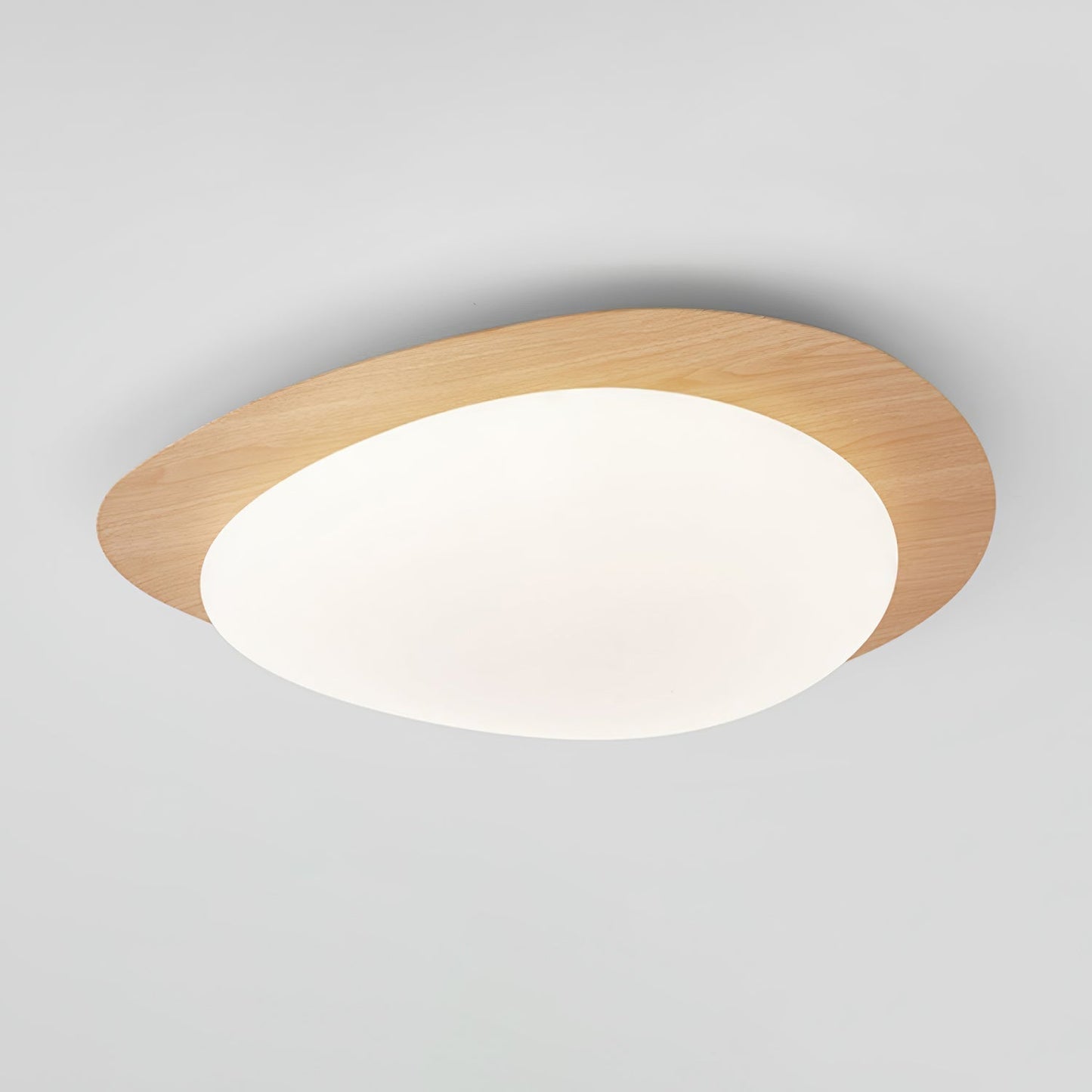Elenorris | Sculptural Pebble Silhouette Flush Mount Ceiling Light