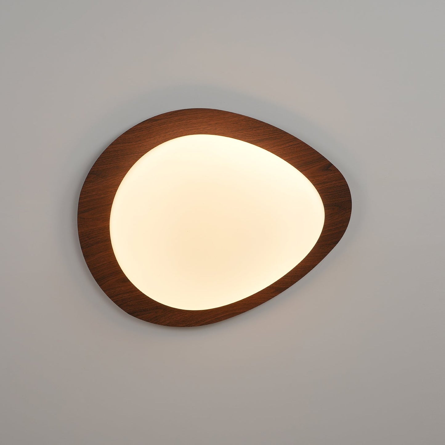 Elenorris | Sculptural Pebble Silhouette Flush Mount Ceiling Light