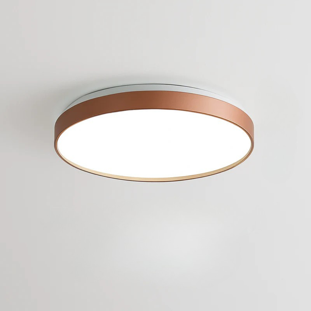 Zyldor | Slim Circular Modern Metal Flush Mount Ceiling Light