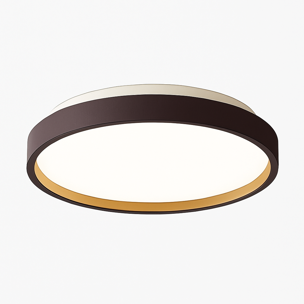 Zyldor | Slim Circular Modern Metal Flush Mount Ceiling Light